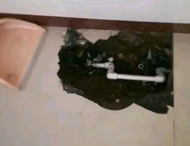南阳市卫生间测漏水多少钱